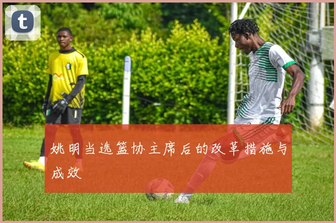 姚明当选篮协主席后的改革措施与成效