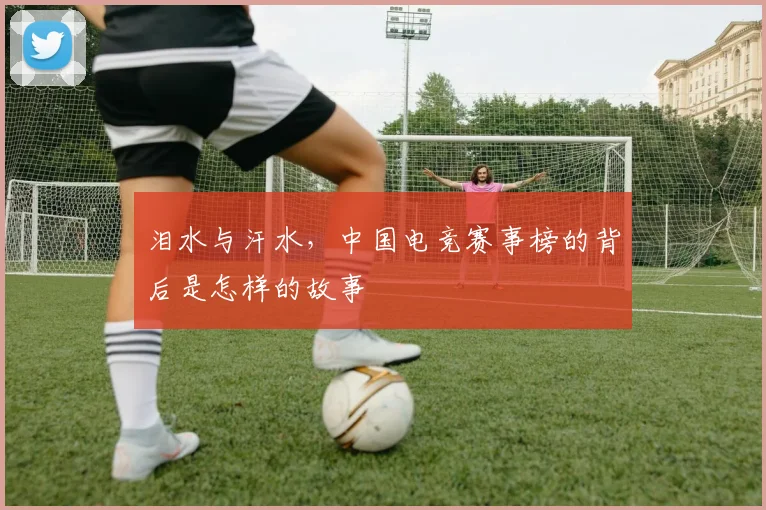 泪水与汗水，中国电竞赛事榜的背后是怎样的故事