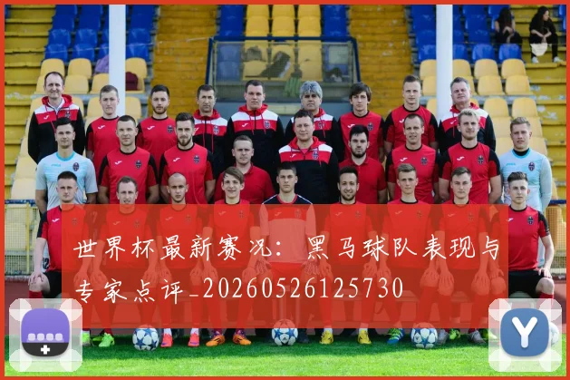 世界杯最新赛况：黑马球队表现与专家点评_20260526125730