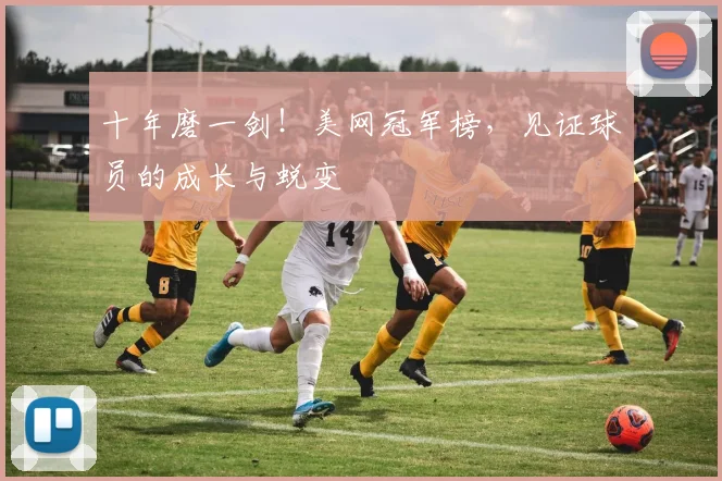 十年磨一剑！美网冠军榜，见证球员的成长与蜕变